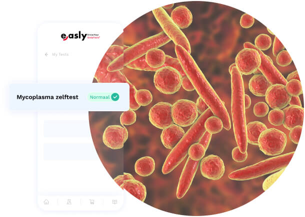 Test génital de mycoplasme précis et pratique à domicile ...