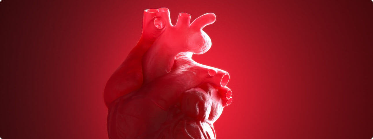 Hart- en vaatziekten: wereldwijd een van de meest voorkomende doodsoorzaken