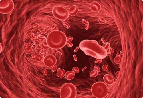 Hemoglobine: een onmisbaar eiwit voor een goede algehele gezondheid - Easly