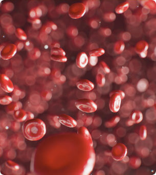 rode bloedcellen