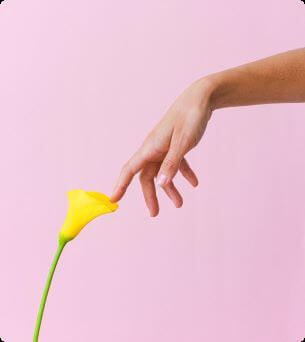 Hand and flower