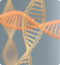 tekening van dna string