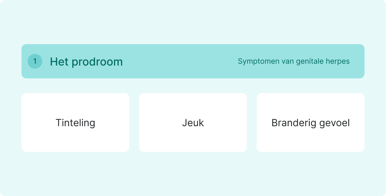 info over symptomen genitale herpes