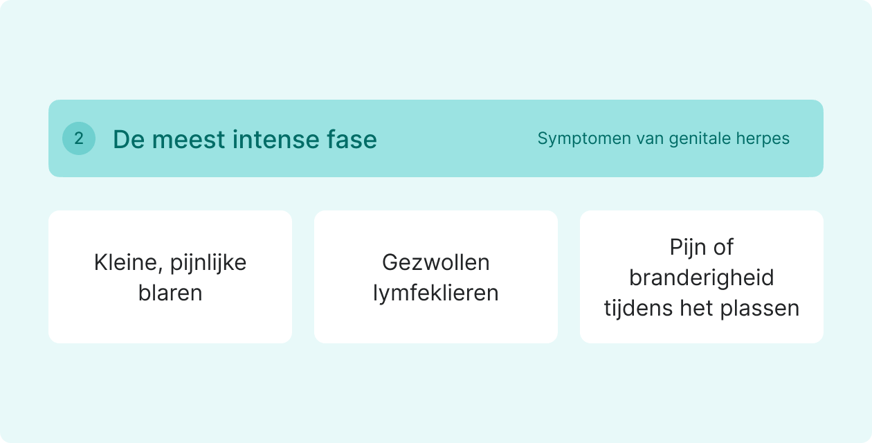 symptomen van de intense fase van genitale herpes