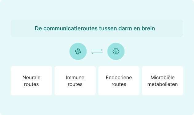 informatie over communicatie route darm en brein